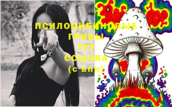 спайс Алзамай