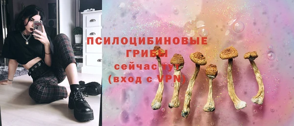 мяу мяу мука Алексин